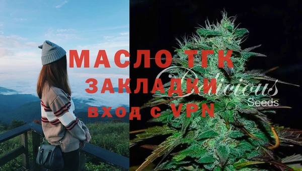 дмт Алзамай