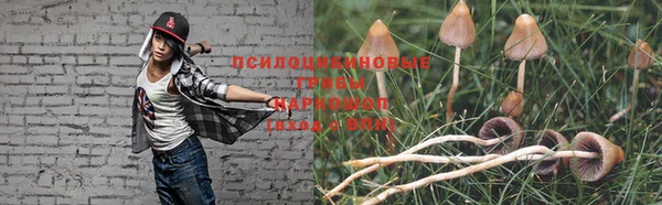 скорость Алексеевка