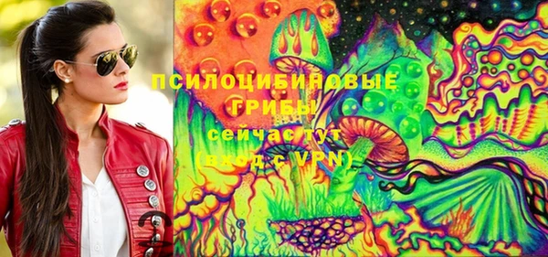 дмт Алзамай