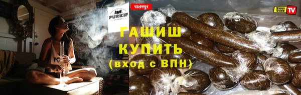 дмт Алзамай