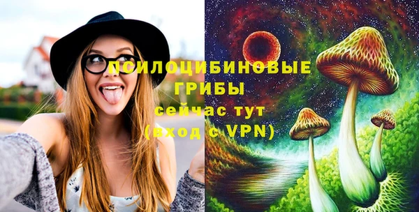 дурь Алексин