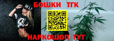 крисы Ипатово