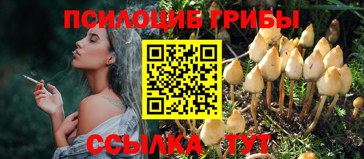 Мичуринск  Псилоцибиновые грибы ЛСД  Псилоцибиновые грибы MAGIC MUSHROOMS  Вход с VPN 